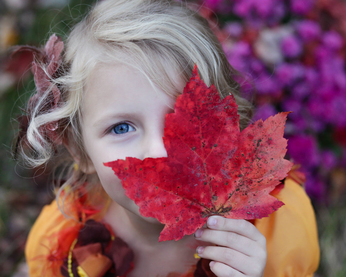 Toddler-Approved Fall Recipes