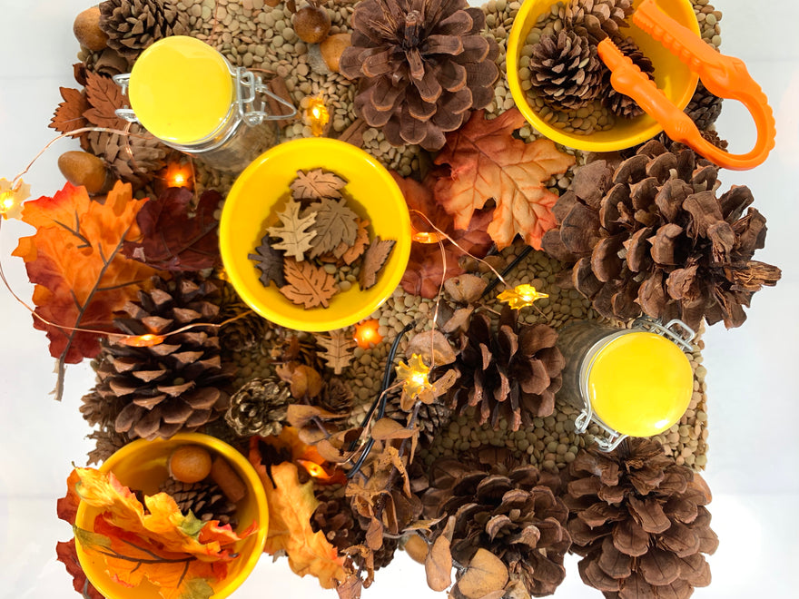 Falling for Autumn Sensory Bin