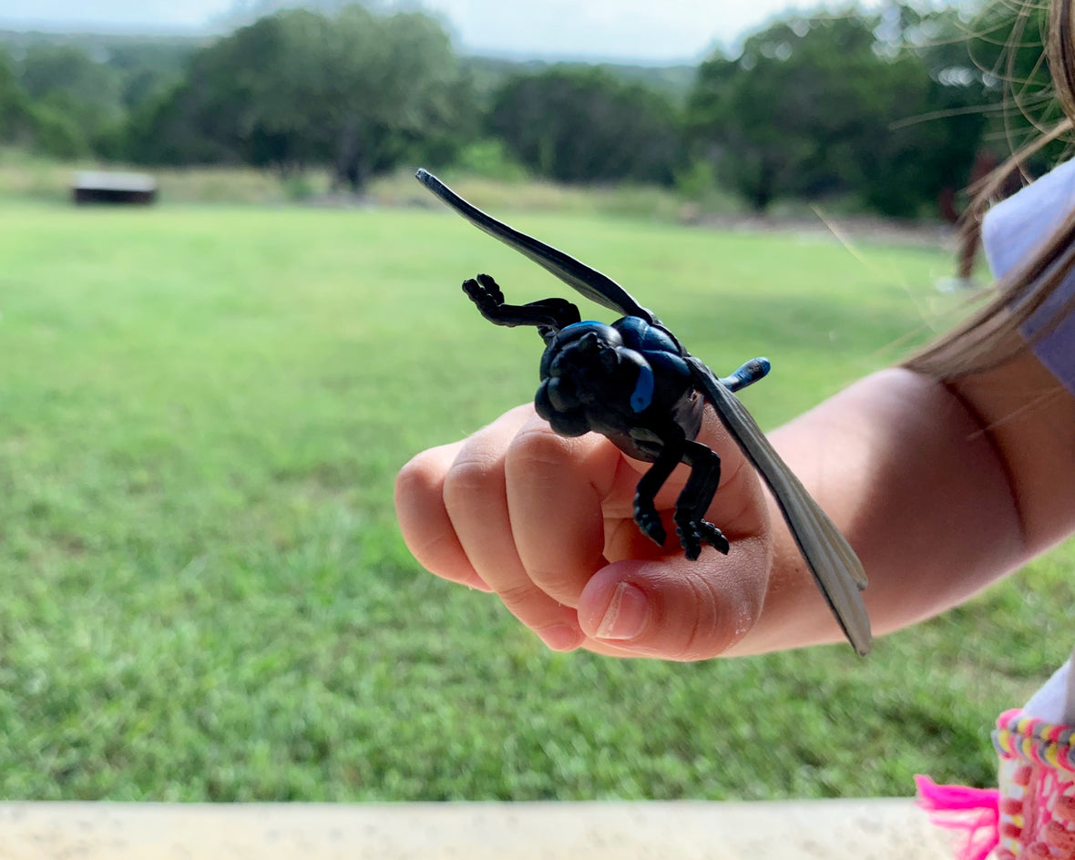 We're Going On a Bug Hunt: Extension Activities