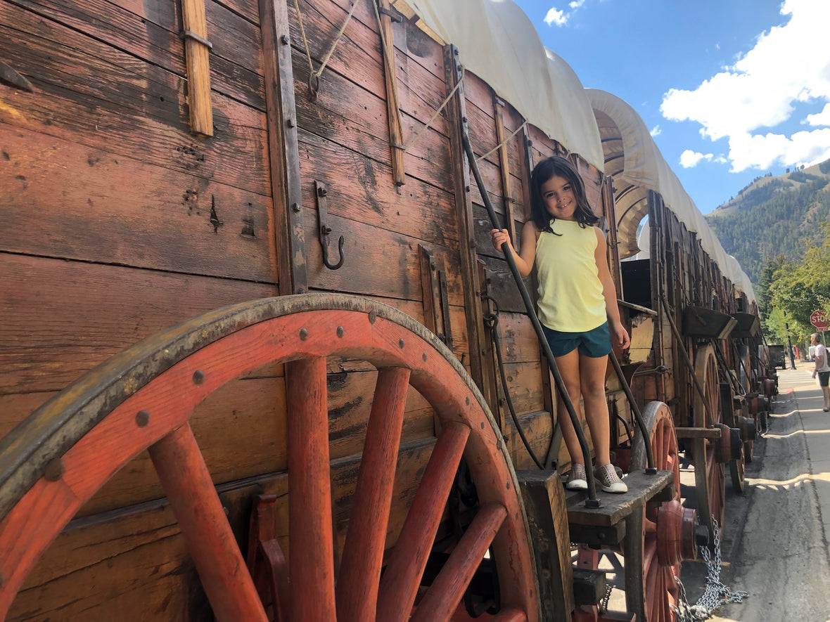 Homeschool Favorites