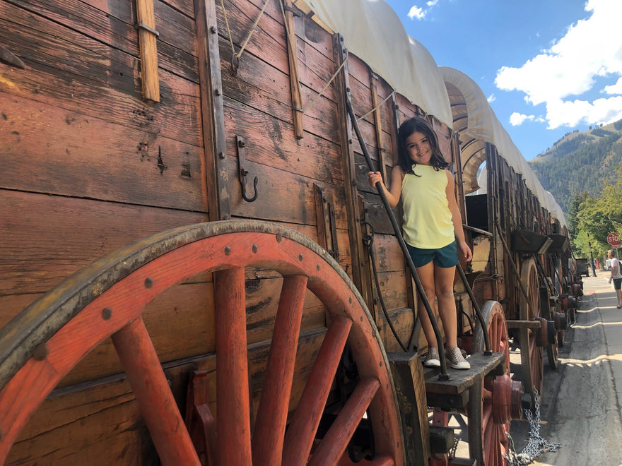 Homeschool Favorites